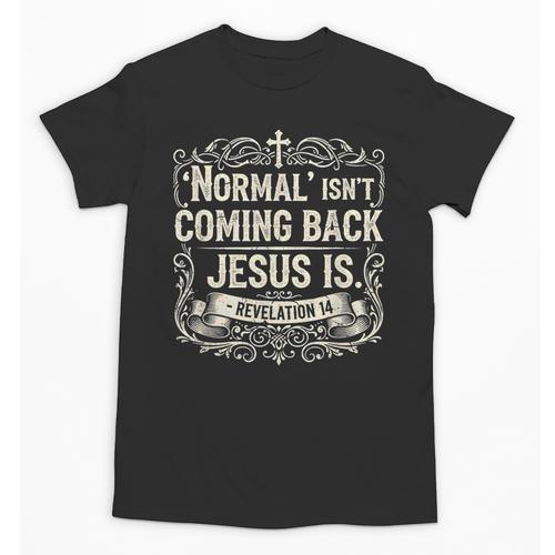 Normal Isn't Coming Back Jesus Is Book Of Revelations Bible Unisex T-Shirt - Bookorys DE