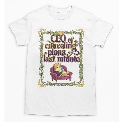 CEO Of Canceling Plans Flake Introvert Friend Premium Tri-Blend Unisex T-Shirt - Raresse