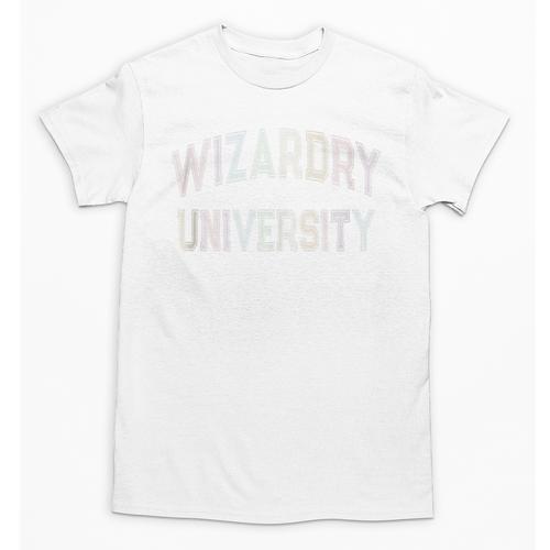 Crazy Antisocial WIZARDRY UNIVERSITY Introvert Don't Call Me Unisex T-Shirt - Raresse