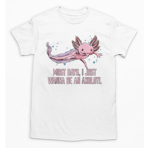 Most Days I Just Wanna Be An Axolotl Salamander Introvert Raglan Baseball Tee Unisex T-Shirt - Raresse