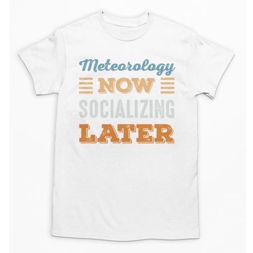Meteorology Now Minimal Socializing Introvert Vintage Unisex T-Shirt - Raresse