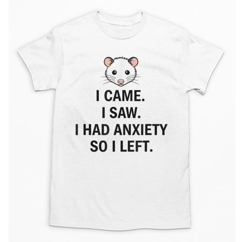 I Came I Saw I Had Anxiety So I Left Introvert Tee Unisex T-Shirt - Raresse