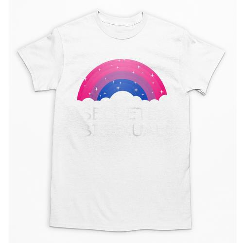 Secretly Bisexual Bi Introvert Bi Pride Antisocial LGBTQ Raglan Baseball Tee Unisex T-Shirt - Raresse