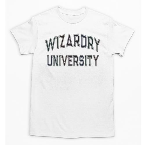 Silly Don'T Call Me WIZARDRY UNIVERSITY Introvert Sarcastic Unisex T-Shirt - Raresse
