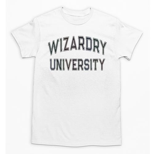 Vintage Don'T Call Me WIZARDRY UNIVERSITY Introvert Unisex T-Shirt - Raresse