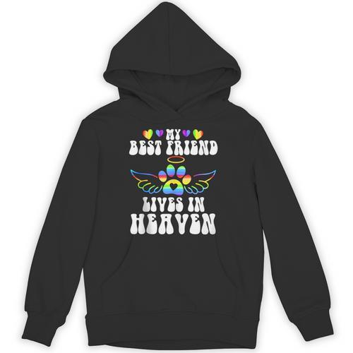My Best Friend Lives In Heaven Pet Memorial In Memory Of Pet Unisex Hoodie - Easessy