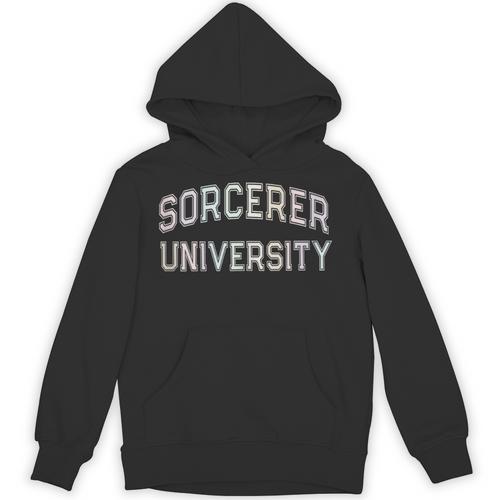 Crazy Sarcastic SORCERER UNIVERSITY Introvert Anti Social Unisex Hoodie - Raresse