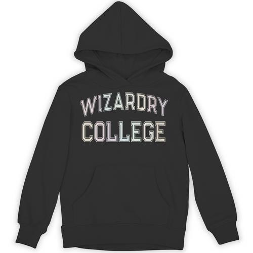Don'T Call Me WIZARDRY COLLEGE Introvert Sarcastic Unisex Hoodie - Raresse