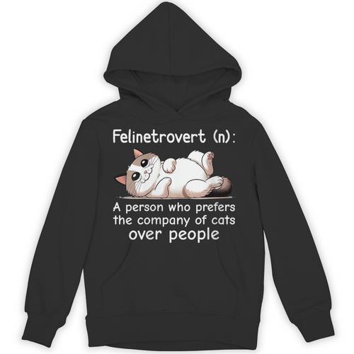 Felinetrovert Definition Cat Lover Introvert Humor Cats Unisex Hoodie - Raresse