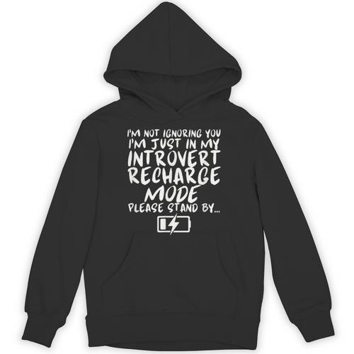 I'm Not Ignoring You I'm Just In My Introvert Recharge Mode Unisex Hoodie - Raresse