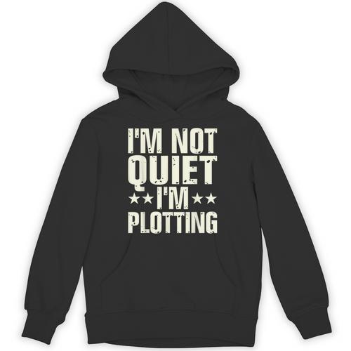 I'm Not Quiet I'm Plotting I Introvert Unisex Hoodie - Raresse