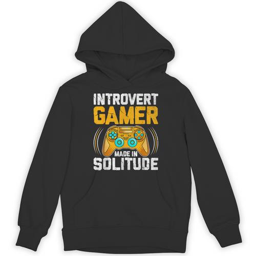Introvert Gamer Video Games Anti Social Team Player Unisex Hoodie - Raresse