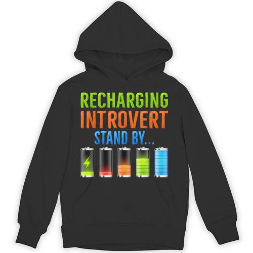 Introverted Recharging Introvert Saying Sarcasm Unisex Hoodie - Raresse