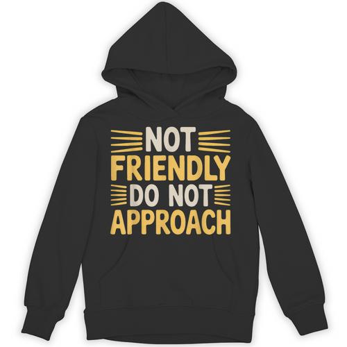 Not Friendly Do Not Approach Introvert Antisocial Unisex Hoodie - Raresse