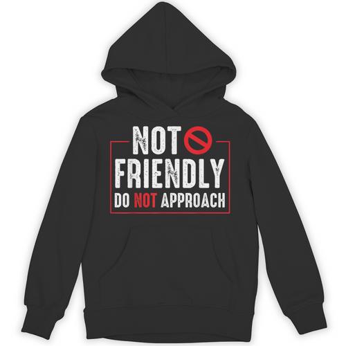 Not Friendly Do Not Approach Witty Introvert Tee Unisex Hoodie - Raresse