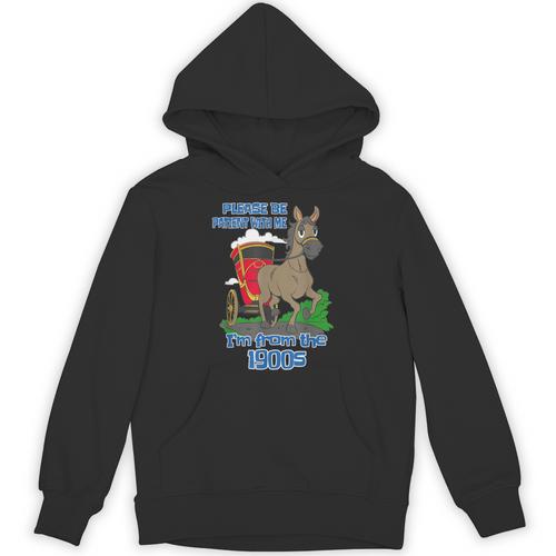 Patient With Me I'm From The 1900s Unisex Hoodie - Figerry