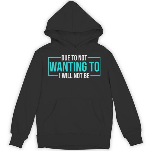 Reluctant Introvert Anti-Social Indifferent Due To Not Wanting To I Will Not Be Unisex Hoodie - Raresse