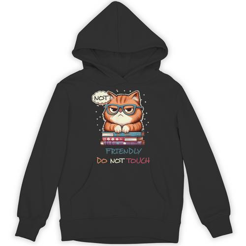 Sarcastic Loner Introvert Not a Friendly Do Not Touchs Unisex Hoodie - Raresse