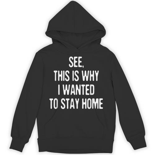 See This Is Why I Wanted To Stay Home Introvert Quote Unisex Hoodie - Raresse