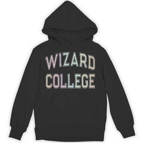 Silly Sarcastic WIZARD COLLEGE Introvert Anti Social School Unisex Hoodie - Raresse