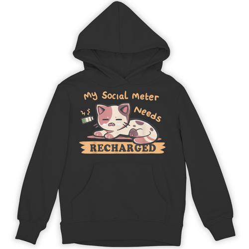Social Meter Recharge Social Meter For Introverts Unisex Hoodie - Raresse