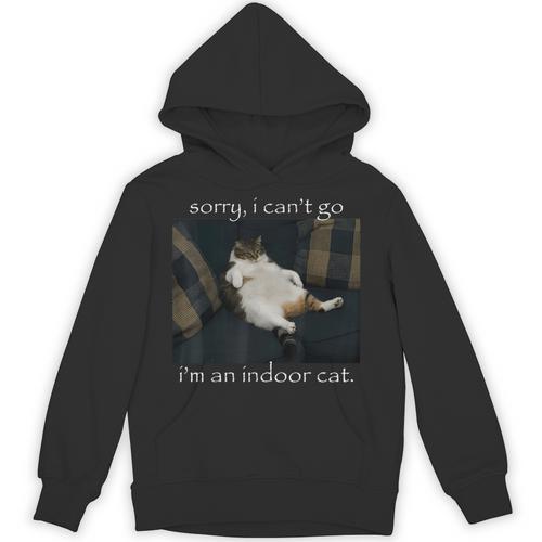Sorry I Can’t Go I’m An Indoor Cat Introvert Meme Unisex Hoodie - Raresse