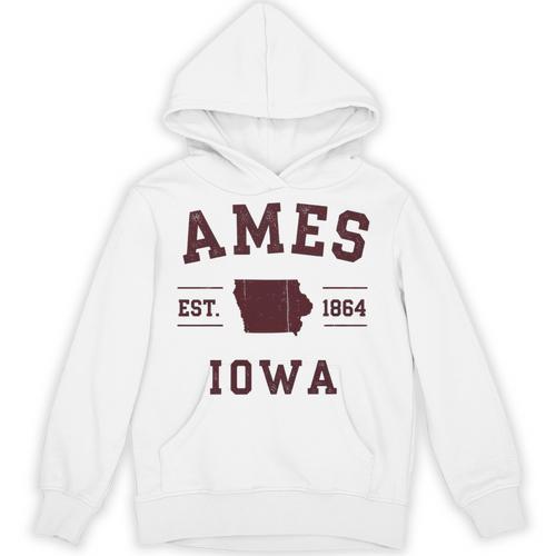 Ames Iowa Est 1864 Nostalgia Premium Tri-Blend Unisex Hoodie - Figerry