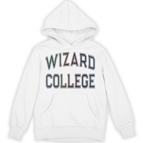 Antisocial WIZARD COLLEGE Introvert Don't Call Me Unisex Hoodie - Raresse