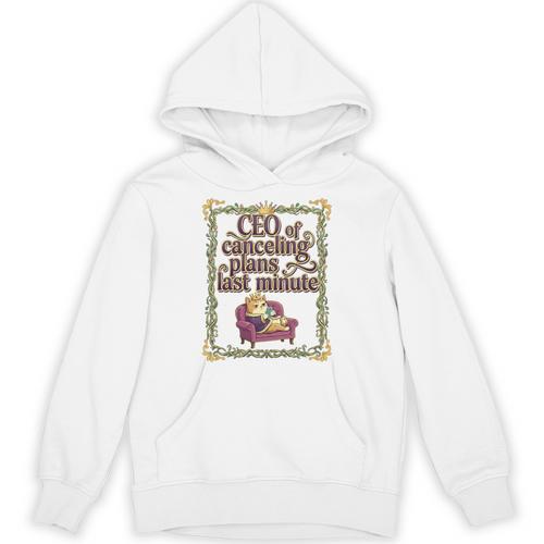 CEO Of Canceling Plans Flake Introvert Friend Premium Tri-Blend Unisex Hoodie - Raresse