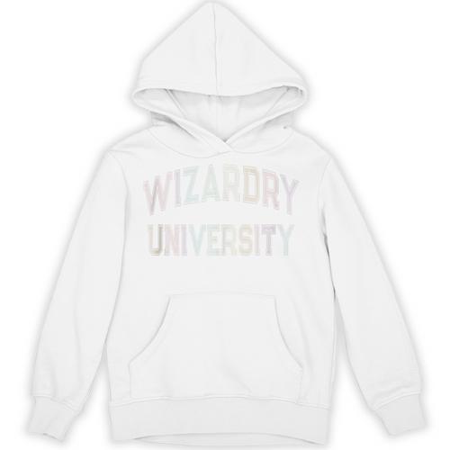 Crazy Antisocial WIZARDRY UNIVERSITY Introvert Don't Call Me Unisex Hoodie - Raresse