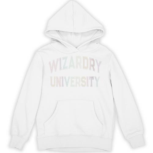 Crazy Antisocial WIZARDRY UNIVERSITY Introvert Don't Call Me Unisex Hoodie - Raresse