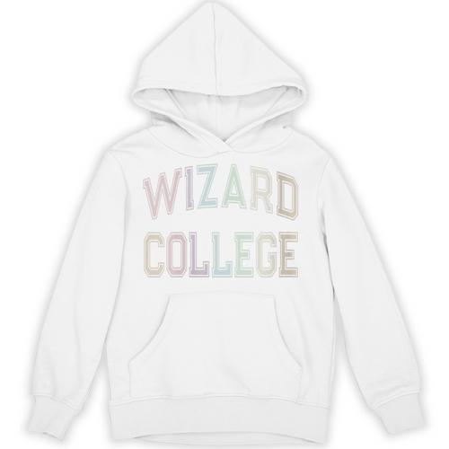 Crazy Sarcastic WIZARD COLLEGE Introvert Anti Social Academy Unisex Hoodie - Raresse