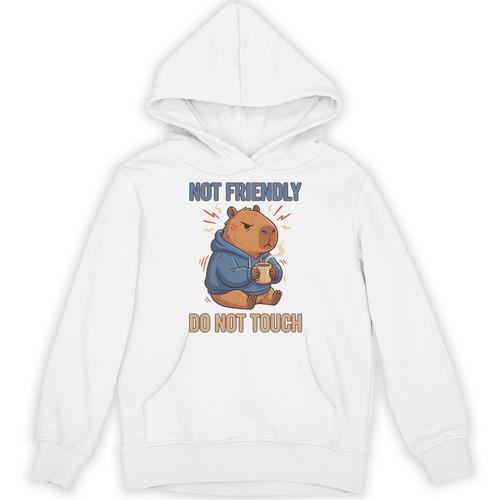 Grouchy Capybara Not Friendly Do Not Touch Introvert Premium Tri-Blend Unisex Hoodie - Raresse