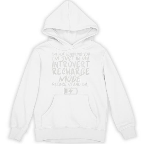 I'm Not Ignoring You I'm Just In My Introvert Recharge Mode Premium Tri-Blend Unisex Hoodie - Raresse
