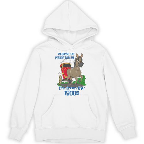 Patient With Me I'm From The 1900s Premium Unisex Hoodie - Figerry