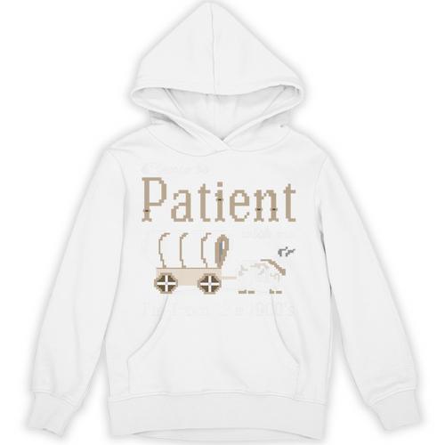 Please Be Patient With Me I'm From The 1900s Retro Gamer Premium Unisex Hoodie - Figerry
