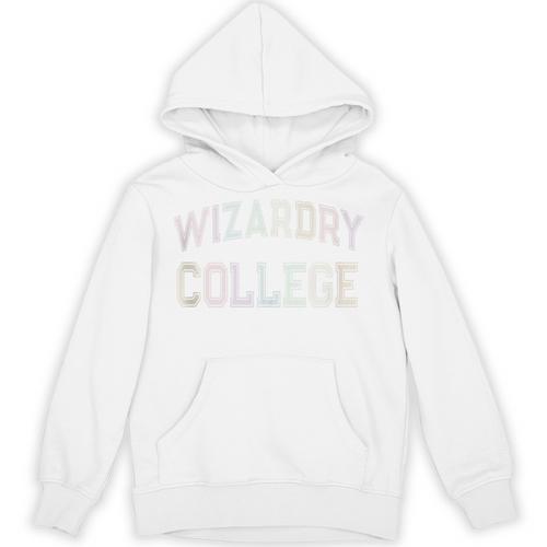 Retro Antisocial WIZARDRY COLLEGE Introvert Sarcastic Unisex Hoodie - Raresse