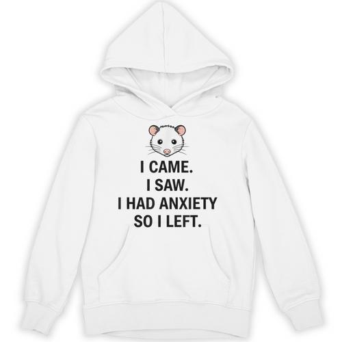 I Came I Saw I Had Anxiety So I Left Introvert Tee Unisex Hoodie - Raresse