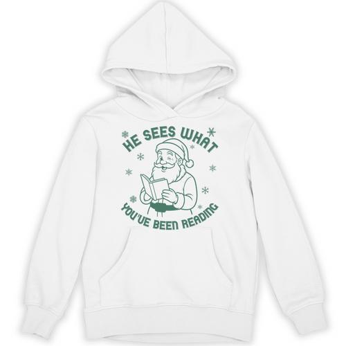 He Sees What You'Ve Been Reading Christmas Bookish Santa Premium Tri-Blend Unisex Hoodie - Bookorys