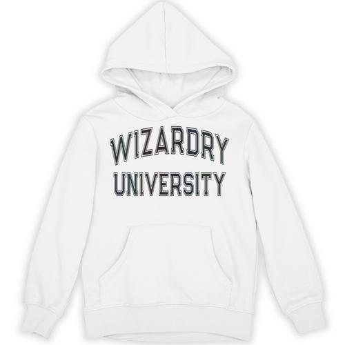 Silly Don'T Call Me WIZARDRY UNIVERSITY Introvert Sarcastic Unisex Hoodie - Raresse