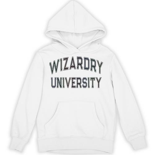 Silly Don'T Call Me WIZARDRY UNIVERSITY Introvert Sarcastic Unisex Hoodie - Raresse