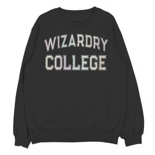 Don'T Call Me WIZARDRY COLLEGE Introvert Sarcastic Unisex Sweatshirt - Raresse