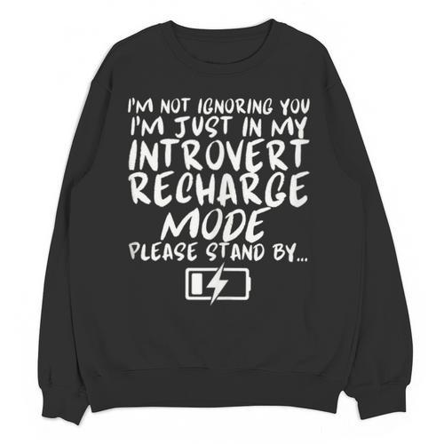 I'm Not Ignoring You I'm Just In My Introvert Recharge Mode Unisex Sweatshirt - Raresse