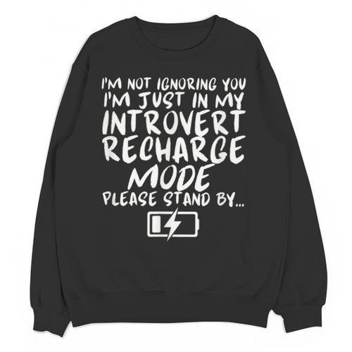 I'm Not Ignoring You I'm Just In My Introvert Recharge Mode Unisex Sweatshirt - Raresse