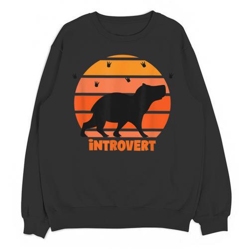 Introvert Retro Sunset Capybara Tee Unisex Sweatshirt - Raresse