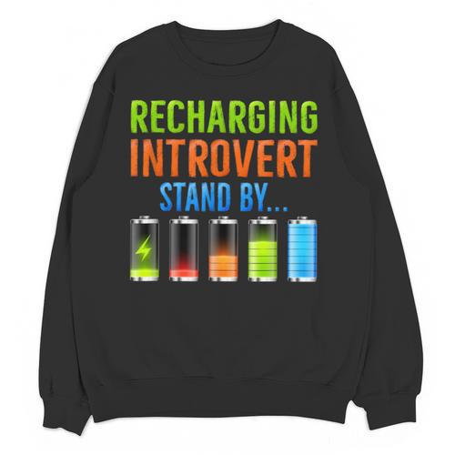 Introverted Recharging Introvert Saying Sarcasm Unisex Sweatshirt - Raresse