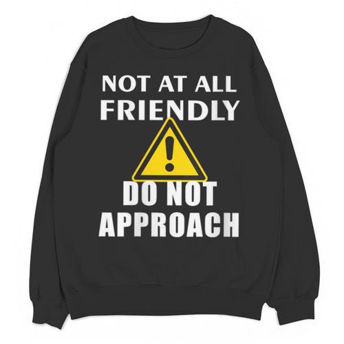 Not At All Friendly Do Not Approach Introvert Warning Unisex Sweatshirt - Raresse