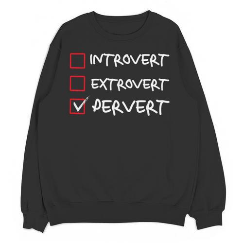Not Introvert Not Extrovert Pervert Visual Joke Ambivert Unisex Sweatshirt - Raresse