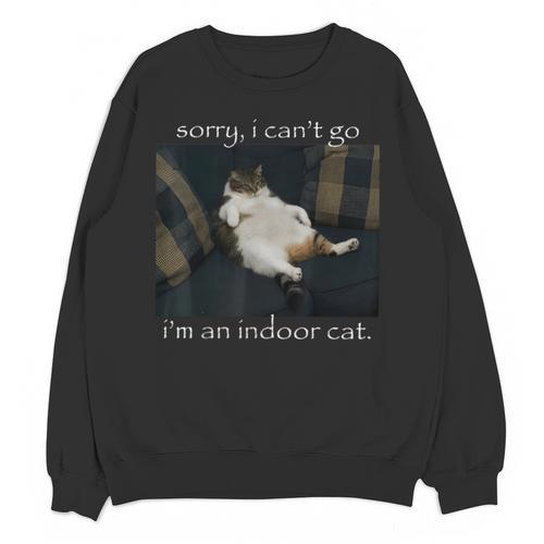 Sorry I Can’t Go I’m An Indoor Cat Introvert Meme Unisex Sweatshirt - Raresse