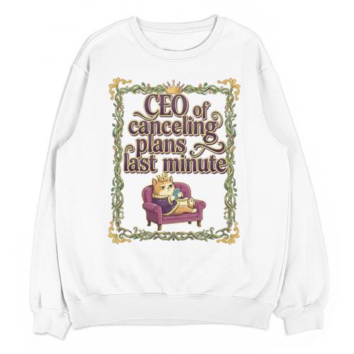 CEO Of Canceling Plans Flake Introvert Friend Premium Tri-Blend Unisex Sweatshirt - Raresse